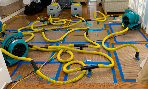 Professional Water Damage Restoration technician working in Brentwood, TN
